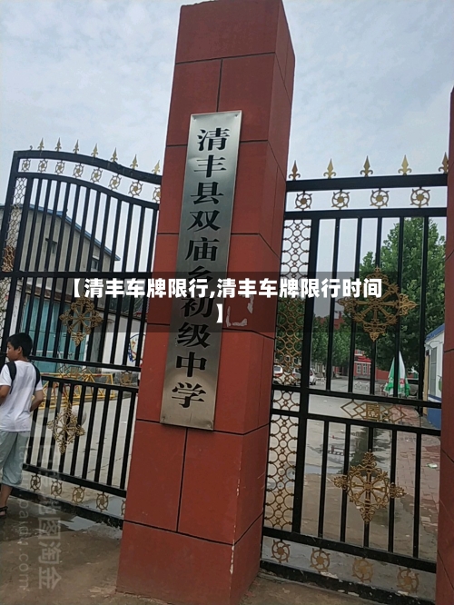 【清丰车牌限行,清丰车牌限行时间】-第2张图片