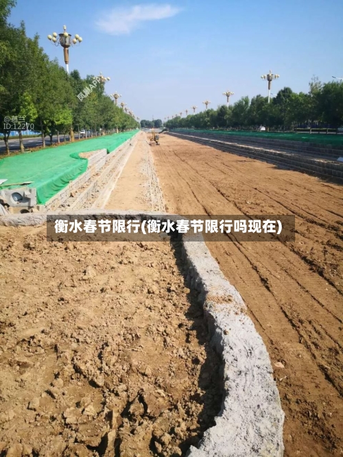 衡水春节限行(衡水春节限行吗现在)