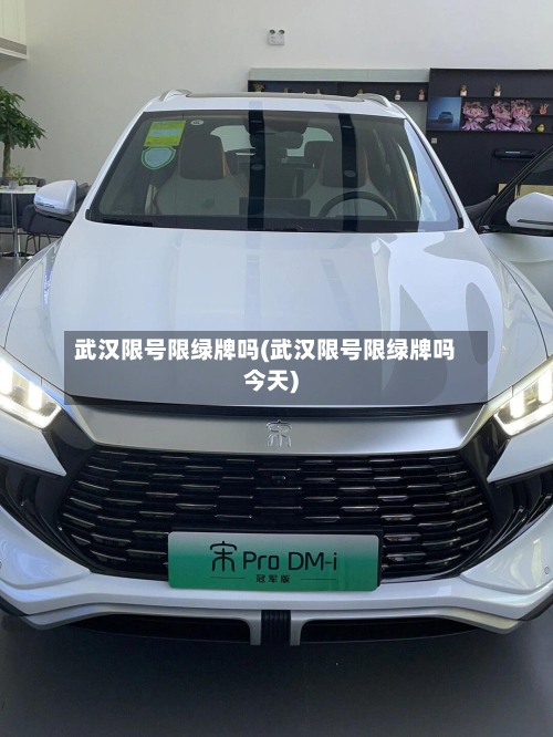 武汉限号限绿牌吗(武汉限号限绿牌吗今天)