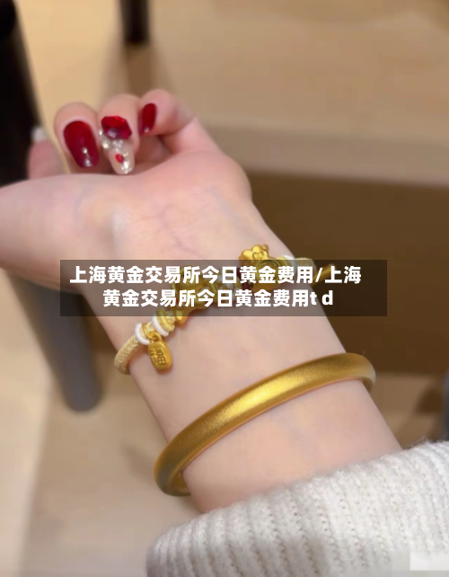 上海黄金交易所今日黄金费用/上海黄金交易所今日黄金费用t d-第3张图片