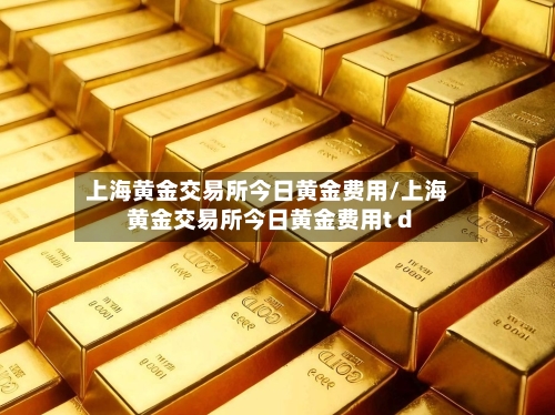 上海黄金交易所今日黄金费用/上海黄金交易所今日黄金费用t d