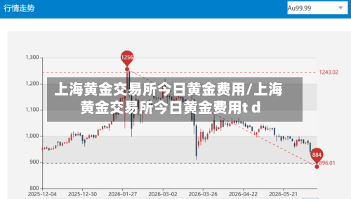 上海黄金交易所今日黄金费用/上海黄金交易所今日黄金费用t d-第2张图片