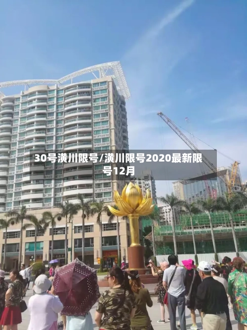 30号潢川限号/潢川限号2020最新限号12月-第3张图片