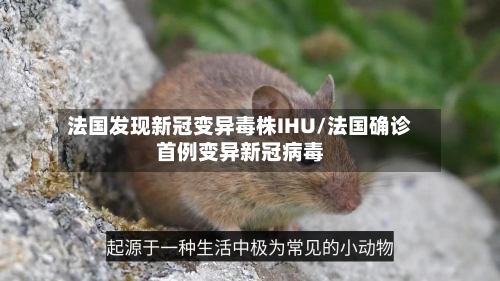 法国发现新冠变异毒株IHU/法国确诊首例变异新冠病毒