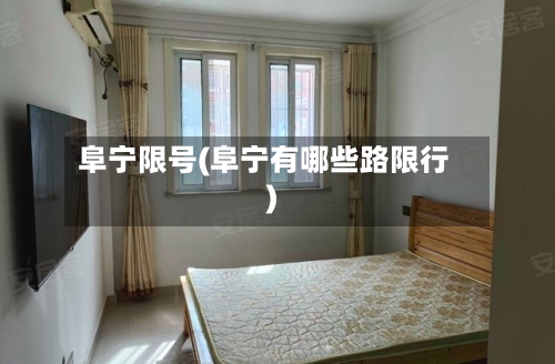 阜宁限号(阜宁有哪些路限行)-第2张图片