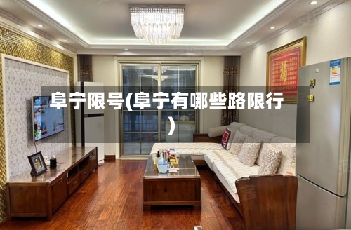 阜宁限号(阜宁有哪些路限行)-第3张图片