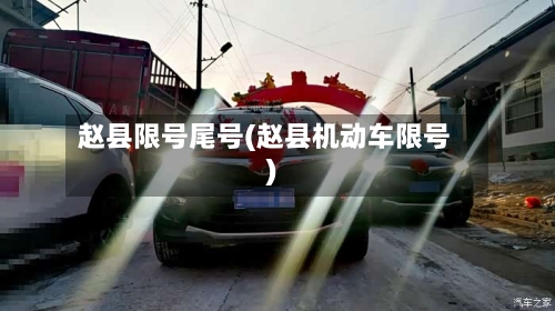 赵县限号尾号(赵县机动车限号)