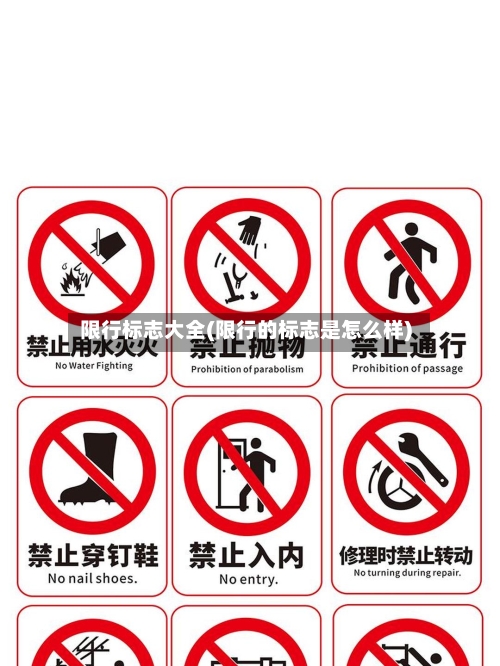 限行标志大全(限行的标志是怎么样)