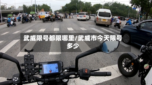 武威限号都限哪里/武威市今天限号多少-第3张图片