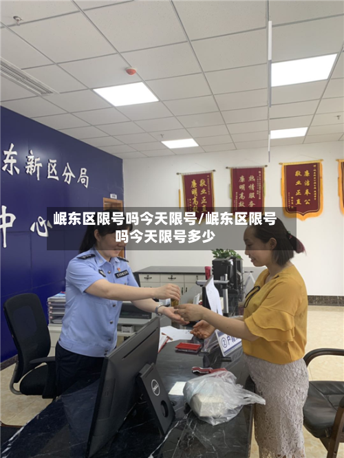 岷东区限号吗今天限号/岷东区限号吗今天限号多少-第2张图片