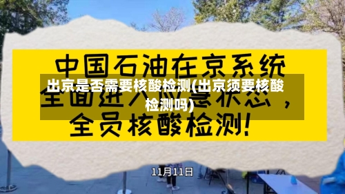 出京是否需要核酸检测(出京须要核酸检测吗)-第2张图片