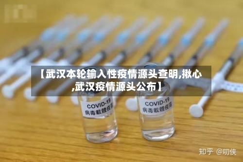 【武汉本轮输入性疫情源头查明,揪心,武汉疫情源头公布】
