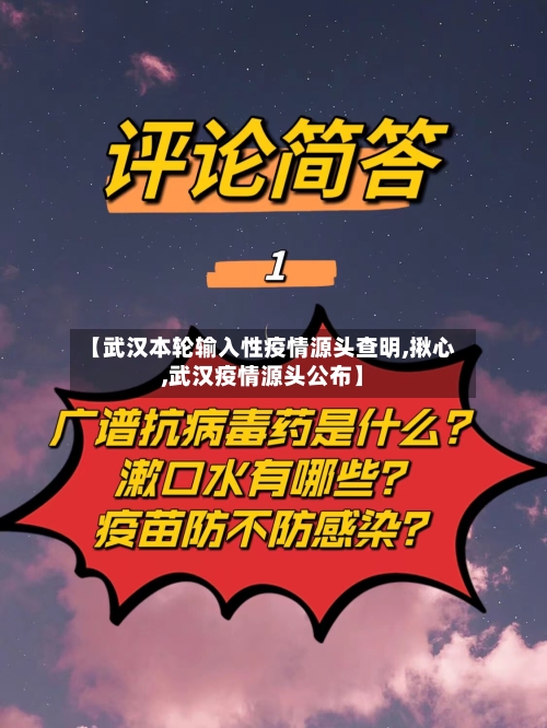 【武汉本轮输入性疫情源头查明,揪心,武汉疫情源头公布】-第2张图片