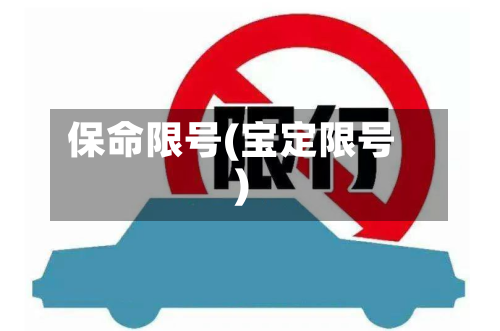 保命限号(宝定限号)