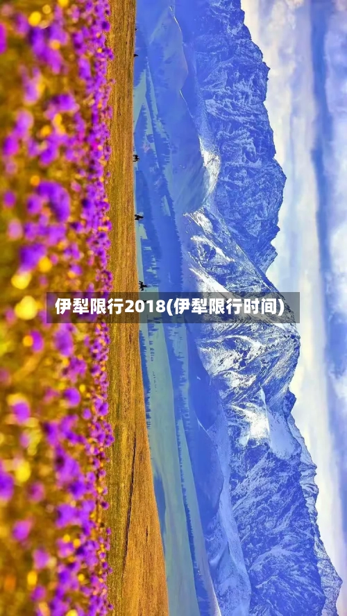 伊犁限行2018(伊犁限行时间)-第2张图片