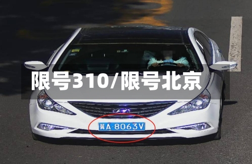限号310/限号北京