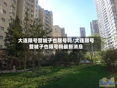 大连限号营城子也限号吗/大连限号营城子也限号吗最新消息-第2张图片