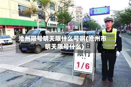 沧州限号明天限什么号啊(沧州市明天限号什么)