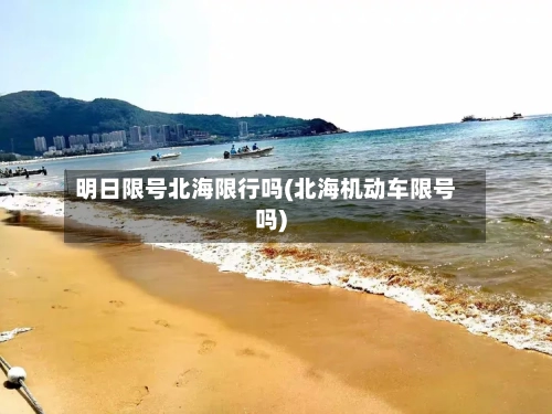 明日限号北海限行吗(北海机动车限号吗)