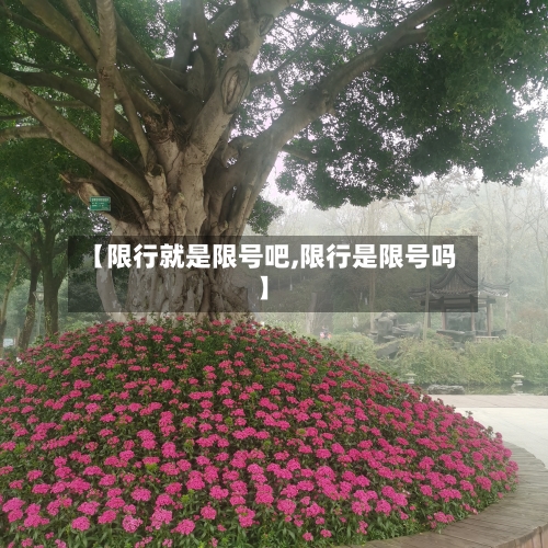 【限行就是限号吧,限行是限号吗】