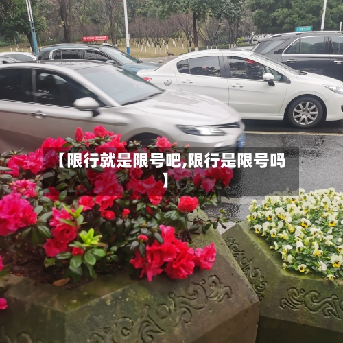 【限行就是限号吧,限行是限号吗】-第3张图片