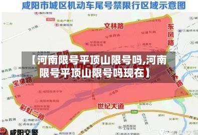 【河南限号平顶山限号吗,河南限号平顶山限号吗现在】-第2张图片