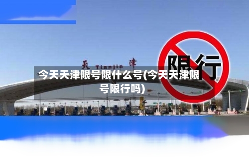 今天天津限号限什么号(今天天津限号限行吗)
