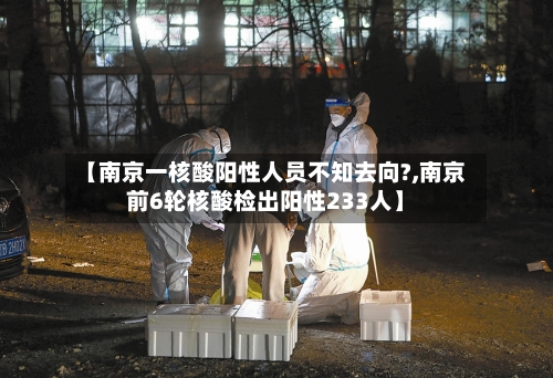 【南京一核酸阳性人员不知去向?,南京前6轮核酸检出阳性233人】-第2张图片