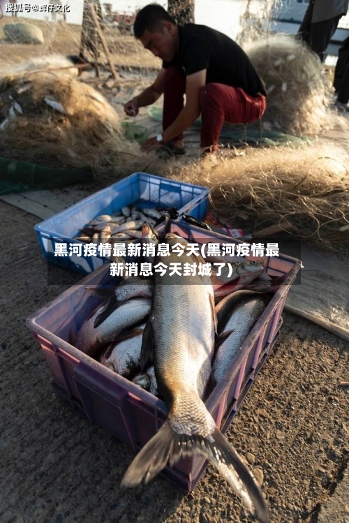 黑河疫情最新消息今天(黑河疫情最新消息今天封城了)-第2张图片