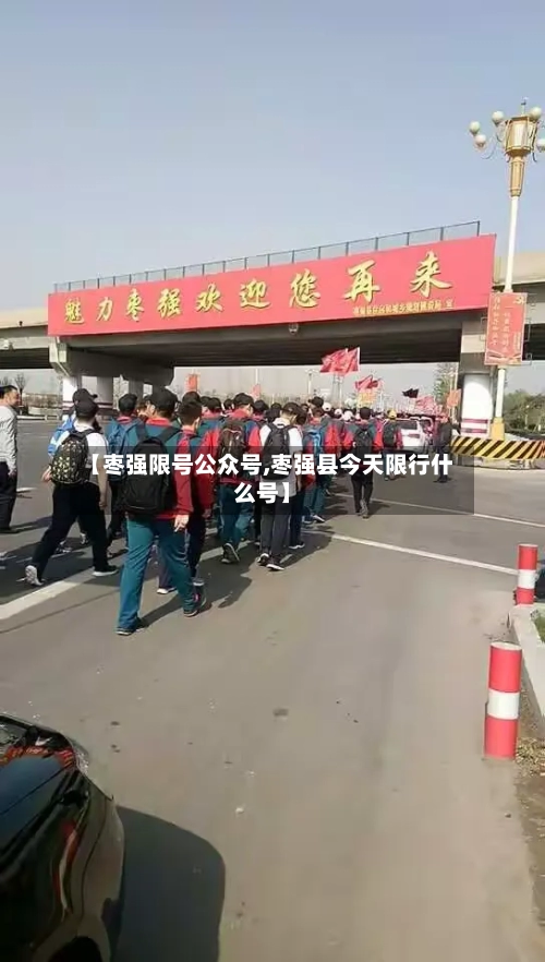 【枣强限号公众号,枣强县今天限行什么号】-第2张图片