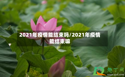 2021年疫情能结束吗/2021年疫情能结束嘛-第3张图片