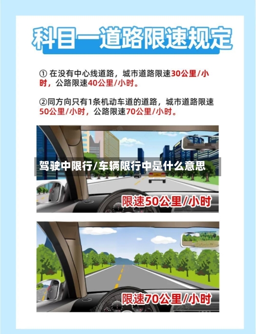 驾驶中限行/车辆限行中是什么意思