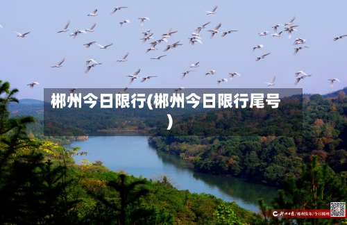 郴州今日限行(郴州今日限行尾号)-第3张图片