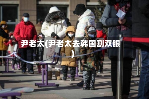 尹老太(尹老太去韩国割双眼)-第2张图片