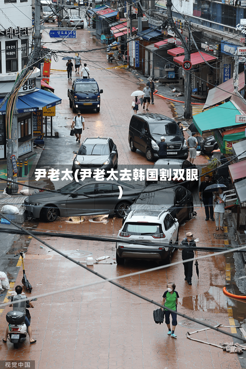 尹老太(尹老太去韩国割双眼)