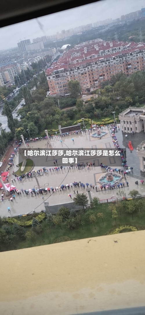 【哈尔滨江莎莎,哈尔滨江莎莎是怎么回事】