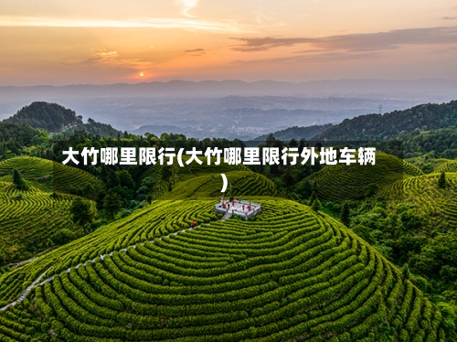 大竹哪里限行(大竹哪里限行外地车辆)-第2张图片