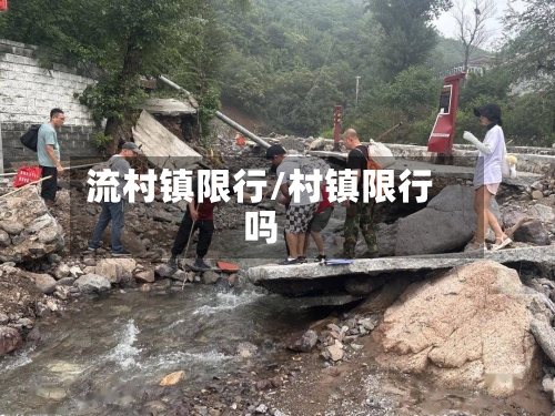 流村镇限行/村镇限行吗-第3张图片