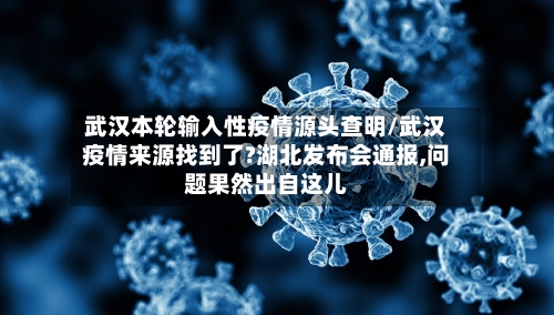 武汉本轮输入性疫情源头查明/武汉疫情来源找到了?湖北发布会通报,问题果然出自这儿