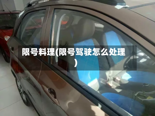 限号料理(限号驾驶怎么处理)-第3张图片