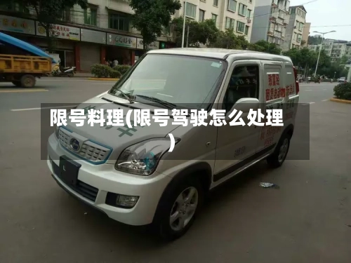 限号料理(限号驾驶怎么处理)-第2张图片