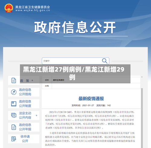 黑龙江新增27例病例/黑龙江新增29例-第2张图片