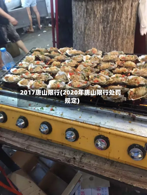 2017唐山限行(2020年唐山限行处罚规定)-第2张图片