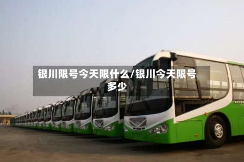 银川限号今天限什么/银川今天限号多少