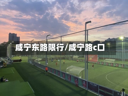 咸宁东路限行/咸宁路c口