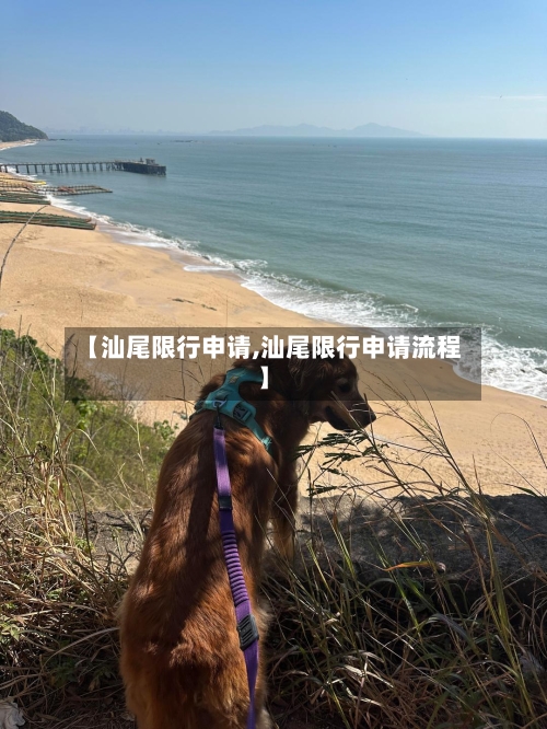 【汕尾限行申请,汕尾限行申请流程】-第3张图片