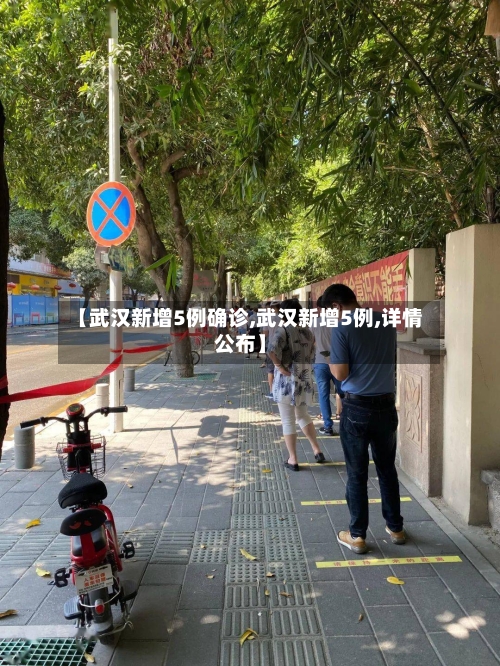 【武汉新增5例确诊,武汉新增5例,详情公布】