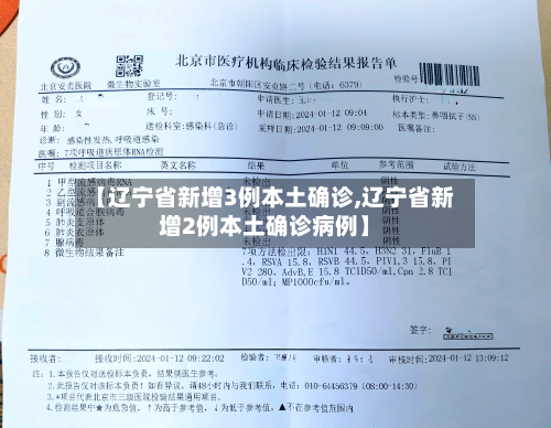 【辽宁省新增3例本土确诊,辽宁省新增2例本土确诊病例】-第3张图片