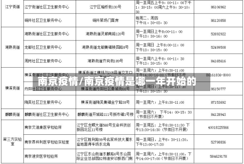 南京疫情/南京疫情是哪一年开始的-第2张图片