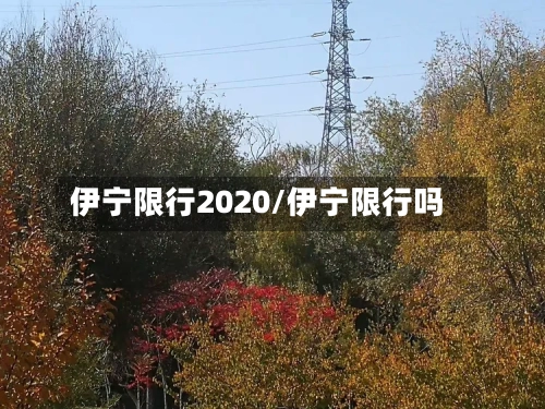 伊宁限行2020/伊宁限行吗